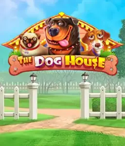 From Pragmatic Play comes The Dog House, bringing you an adorable adventure into the world of lovable dogs. Engage in features such as free spins, aimed at providing joyful moments. Ideal for animal enthusiasts a lighthearted theme and the opportunity to win big.