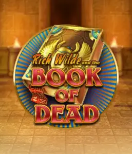 Enter the thrilling world of Book of Dead by Play'n GO, featuring vivid graphics of Rich Wilde's journey through ancient Egyptian tombs and artifacts. Find lost riches with engaging mechanics like free spins, expanding symbols, and a gamble option. Ideal for adventure enthusiasts with a desire for thrilling discoveries.